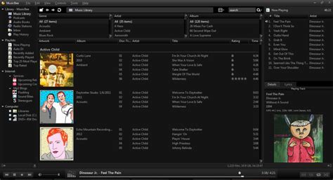 MusicBee 3.5 Free Download Trial
