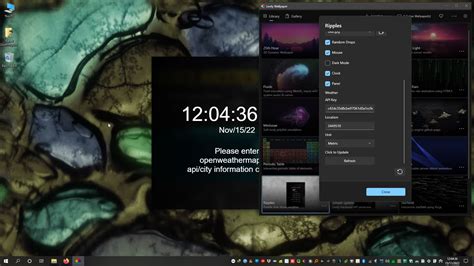 Rocksdanister Lively Weather Download